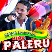 Nicu Paleru - Lume, Zau, Nu Sunt Nebun