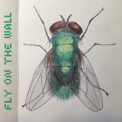 Fly on the Wall - Single