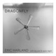 Dragonfly feat Big Yuki Taylor Eigsti Single