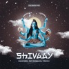 Shivaay - Single