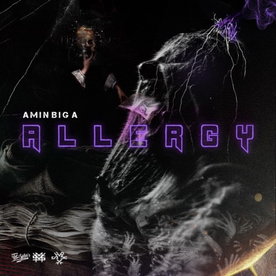 Allergy (feat. Amin Big a) - Single