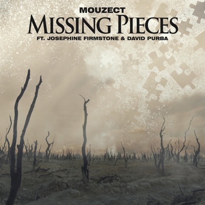 Missing Pieces (feat. Josephine Firmstone & David Purba) - Single