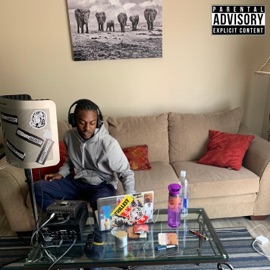 Window Seat Gary Junior