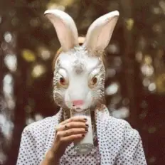 Ascolta nightmarecity, guarda video musicali, leggi la biografia, vedi le date del tour & altro!