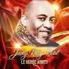 Le verbe aimer - Single