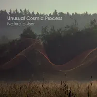 Event Horizon — Unusual Cosmic Process