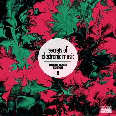 Secrets of Electronic Music: Future House Edition #8