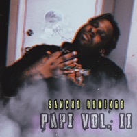 Papi, Vol. 2 - EP - Sancho Domingo