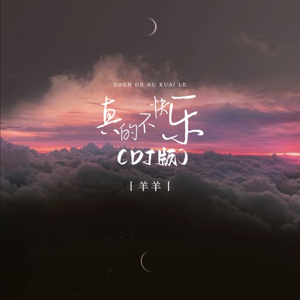 真的不快乐 (DJ版) - Single