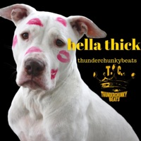Hella Thick - Single - Thunderchunkybeats