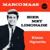 Bier &amp; Limonade