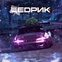 Щедрик (feat. Mykola Dmytrovych Leontovych) - Single - syned