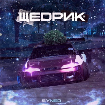 Щедрик (feat. Mykola Dmytrovych Leontovych) - Single