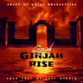 Rise