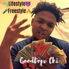 Lifestyle Freestyle