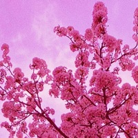 Dancewithme - Single - Gordon Snyder