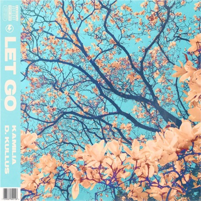 Let Go (feat. D. Kullus) - Single