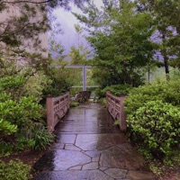 BB's Song - Single - Local Loner