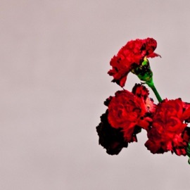 You're Perfect 4GN Mari