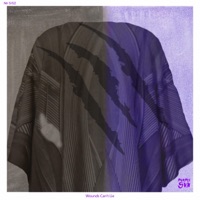 Wounds Can't Lie - Single - Purple Sun