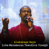 Alekebegn Beye - Like Mezemeran Tewodros Yoseph