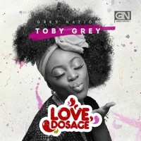 Love Dosage - Single - Toby Grey