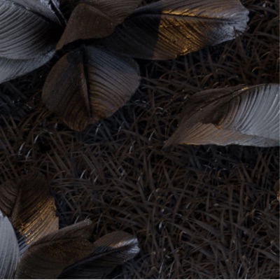 Coast - Single