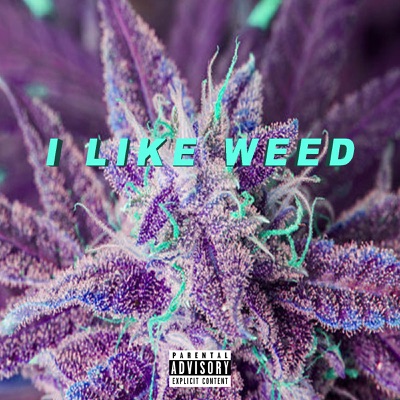 I Like Weed (feat. Sweet Meek, Cole Brazeal & Gat Helm$) - Single