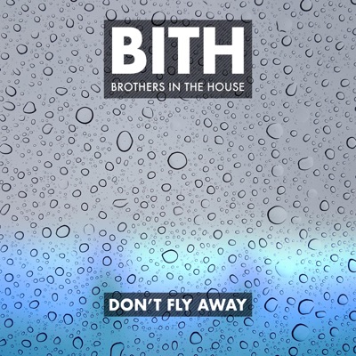 Don't Fly Away - Single