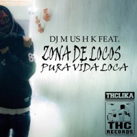 Pura Vida Loca (feat. Zona de Locos) - Single - DJ Mushk