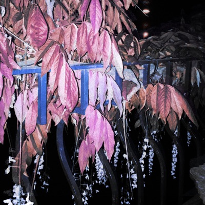 You Said My Walls Are Still Caving In - Single