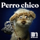 Perro Chico (feat. Johnny Choapino) artwork