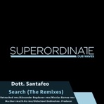 Search (The Remixes)