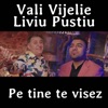 Pe Tine Te Visez - Single