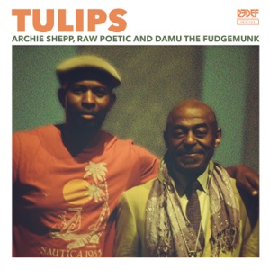 Tulips - Single