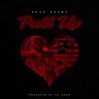 Pull Up - Single - Hogg Booma