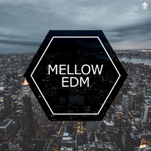 Broken Road (feat. Nathan Brumley) [with T.R]