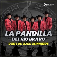 Si Yo Fuera Tu