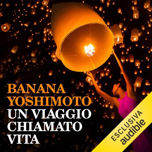 Un viaggio chiamato vita cover