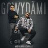 Gowydami (feat. Carvillo) - Single