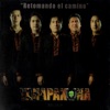 Retomando el Camino