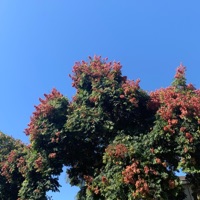 Careless - Single - Coastal