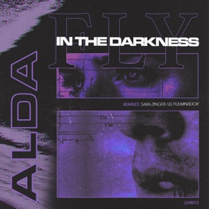 Fly in the Darkness - EP