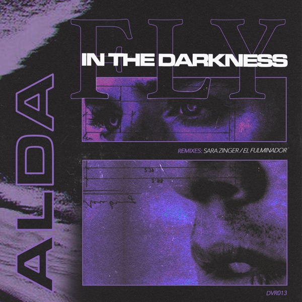 Fly in the Darkness - EP