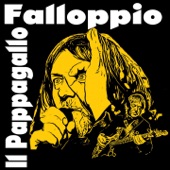 Il Pappagallo (feat. Dandy Bestia) artwork