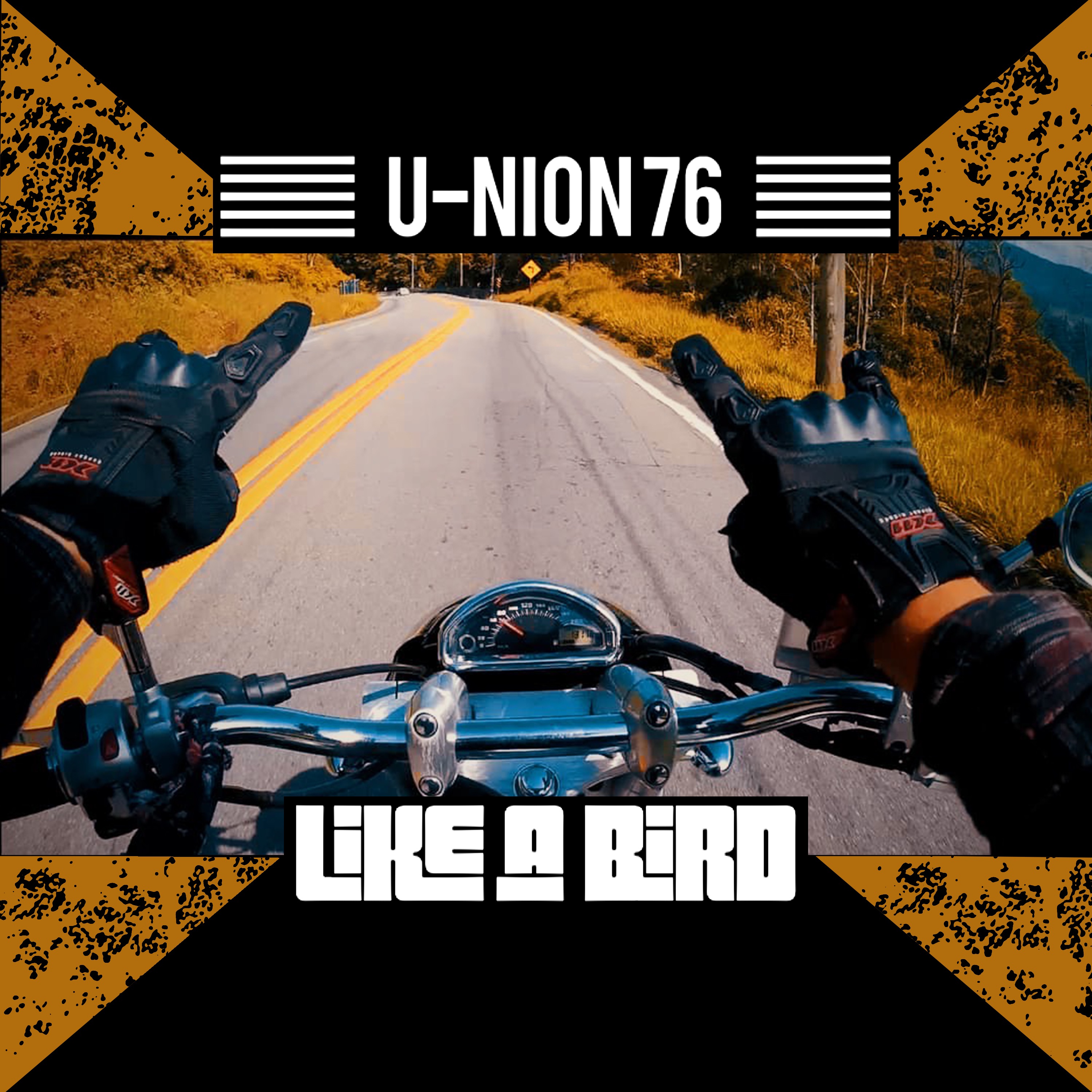 Like a Bird - Single