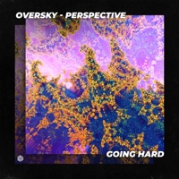 Perspective - Single - OverSky