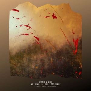 Nothing Is True/Last Walk - Single