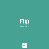 Flip artwork