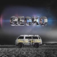 Gecko (feat. King Shaun) - Single - Baron Jay